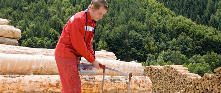 HolztechnikerIn, Hauptmodul Sägetechnik